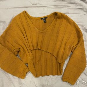 Forever 21 Cropped Ribbed Fall Sweater